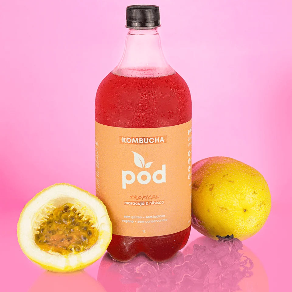Kit 10 un. Kombuchas Tradicionais 1L (SC, RS, PR)