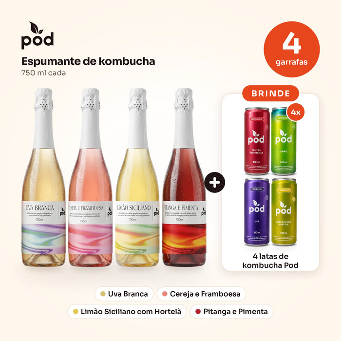 4 espumantes de kombucha